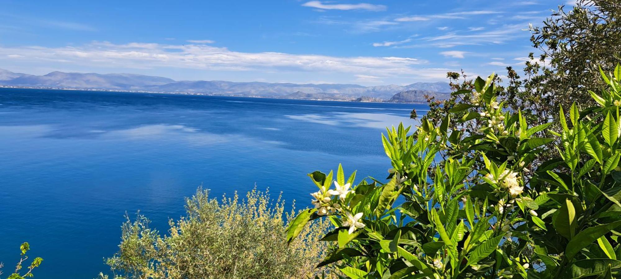 Linamare Eolos Kivérion Camera foto